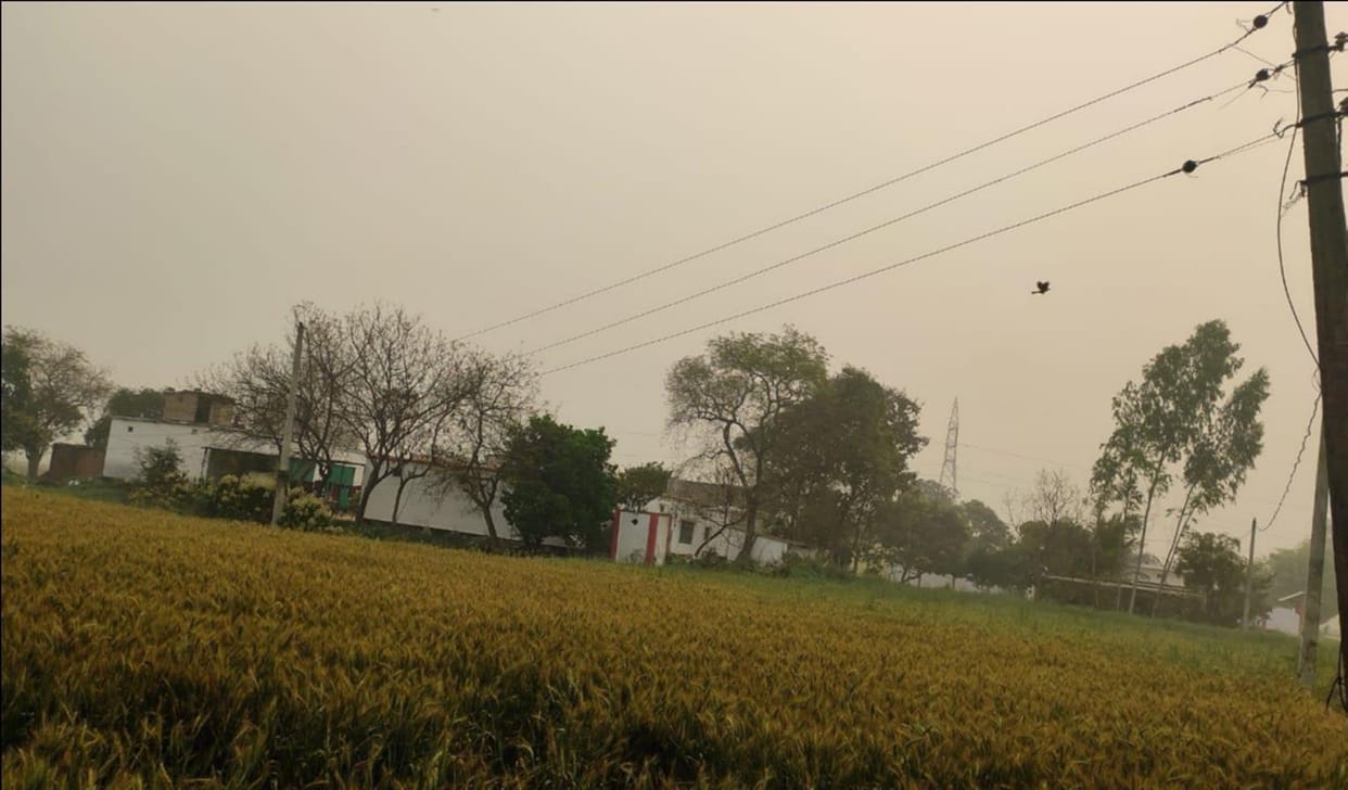 Electricity Corporation's current on the hard work of the farmer, hanging wires become fatal