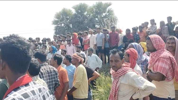 अमर उजाला