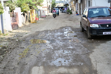 Dust Stands Guard on the Path of Development in Vasant Vihar