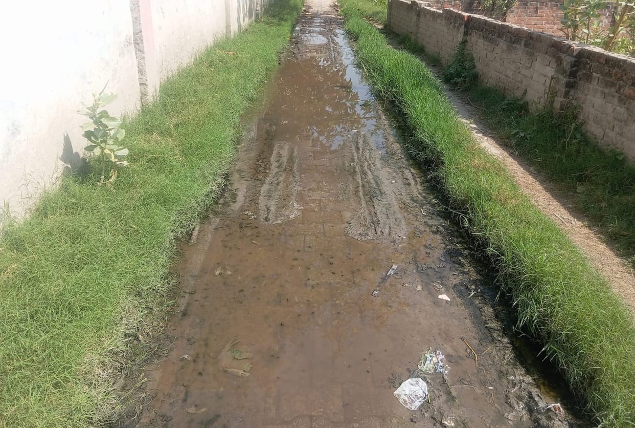 As the heat increased, the terror of mosquitoes also increased, fogging has not started in the municipalities