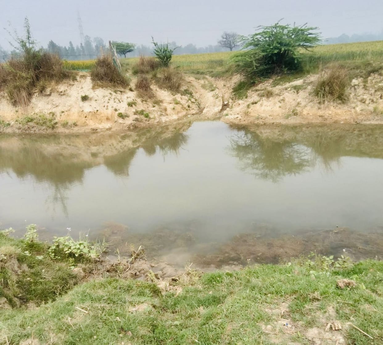 A bridge will be built on the Moongatal drain at a cost of Rs 1.86 crore.
