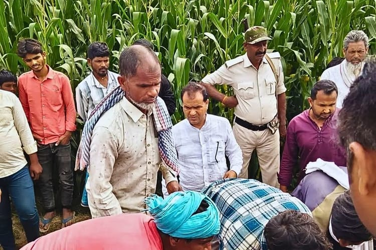 Bihar News: पूर्णिया में ट्यूशन शिक्षक की बेरहमी से हत्या, मक्के के खेत में चाकू से गोदा हुआ शव मिला; सनसनी