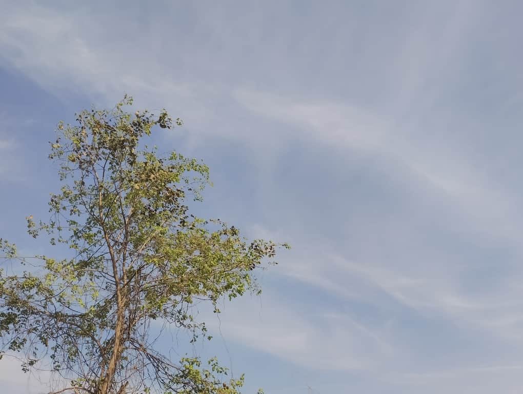 मौसम की सांकेतिक तस्वीर