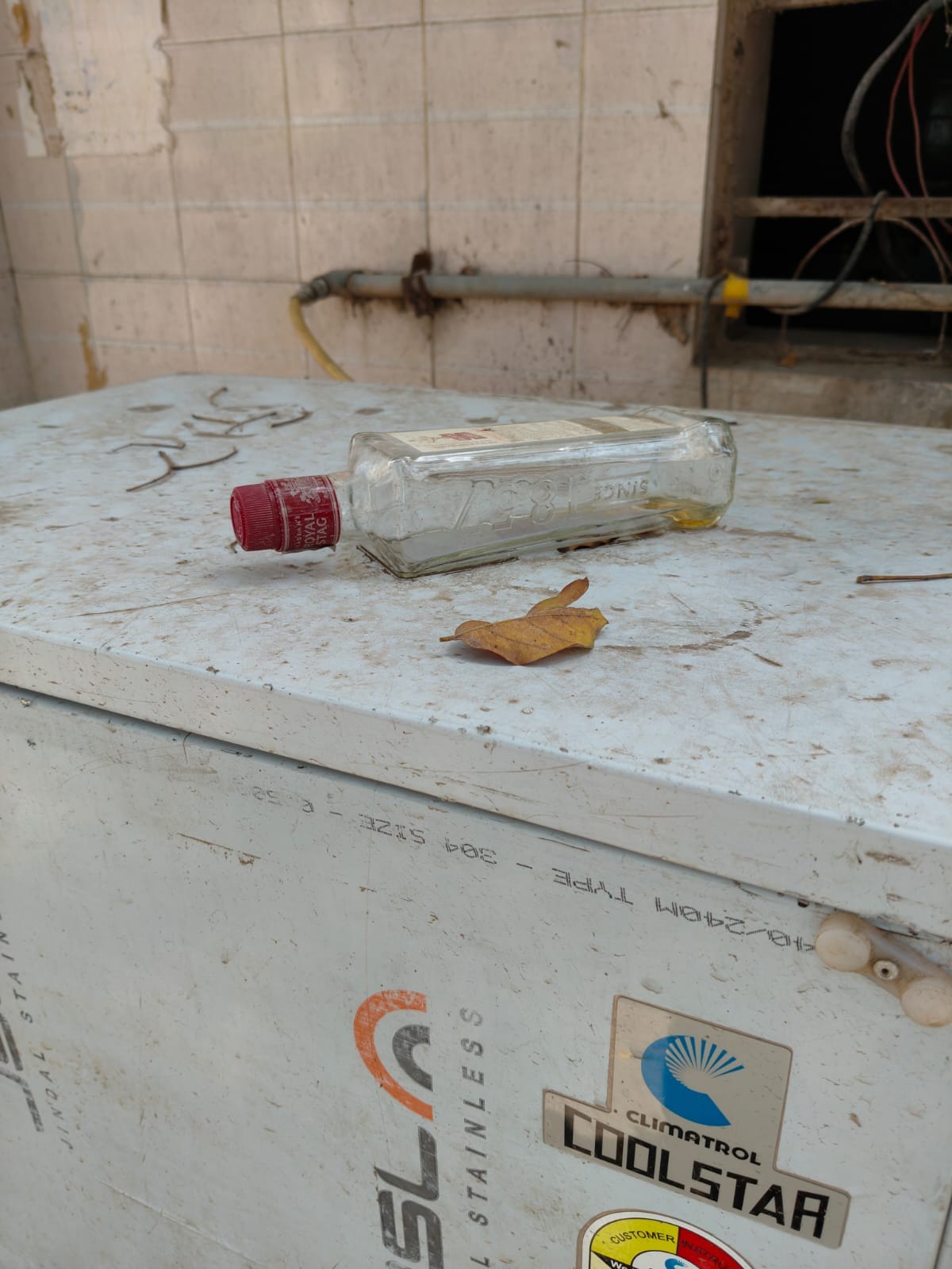 Heaps of Disorder at the Grain Market; Liquor Bottle Found Resting on Top of Water Cooler