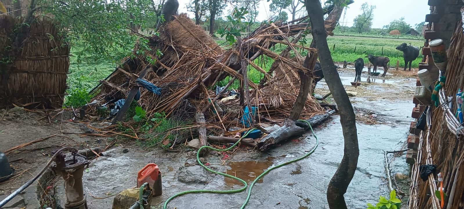 बिजुआ के गांव मझौरा में आंधी में गिरा घर। संवाद