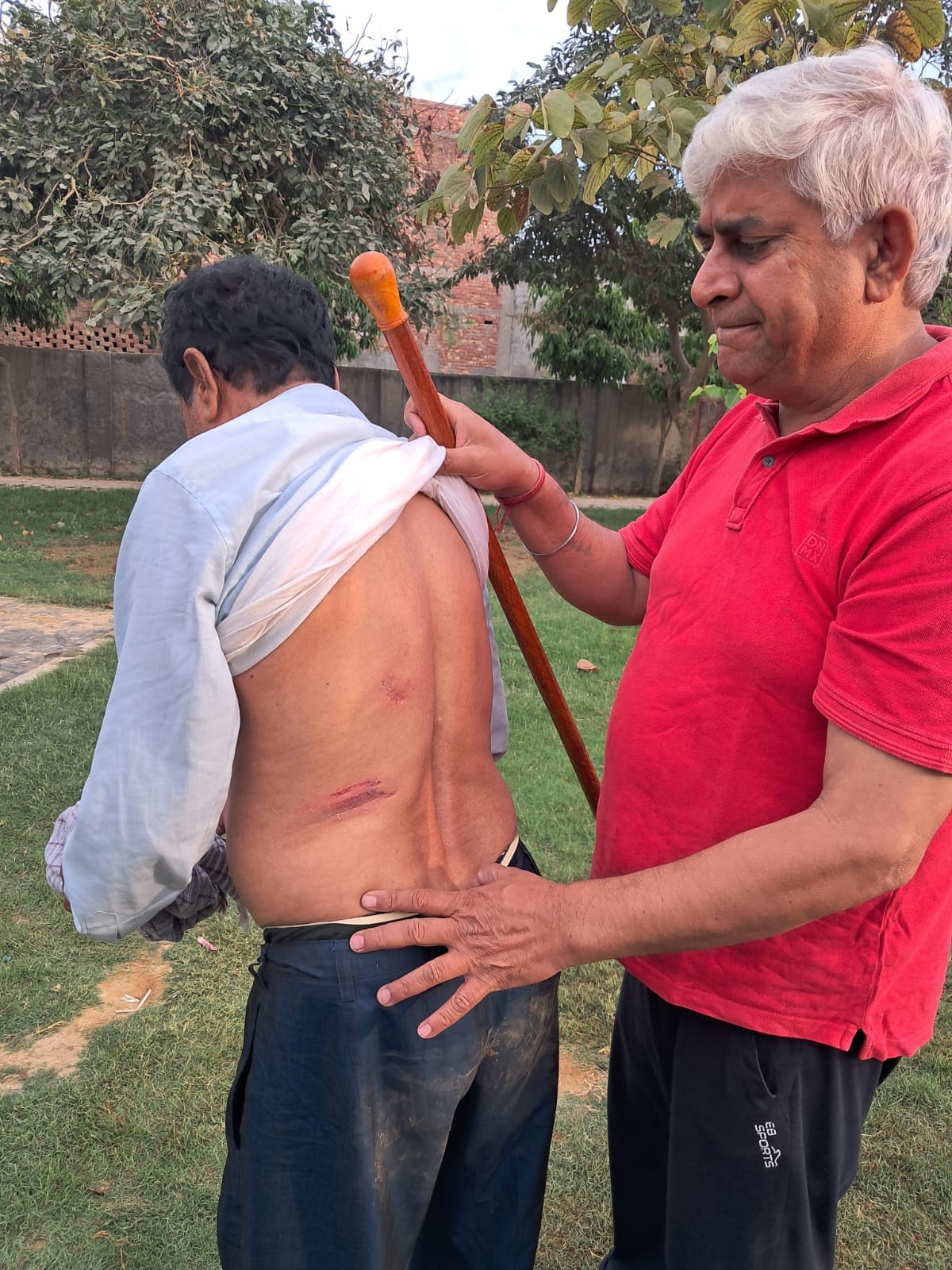 Monkeys bite two people in Golden Park, even shunning visitors for a walk