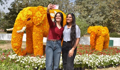 Town Park Decorated with 35 Kinds of Flowers