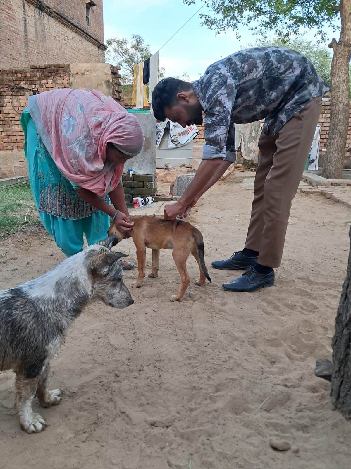 फोटो संख्या:57- सतनाली बास में कुत्ते को टीका लगाते संस्था के सदस्य--स्रोत- संस्थाा