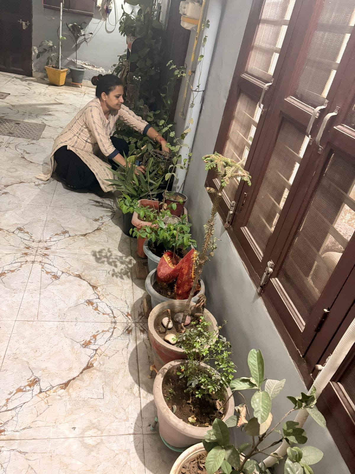 Seven years ago, social service began with a home garden.