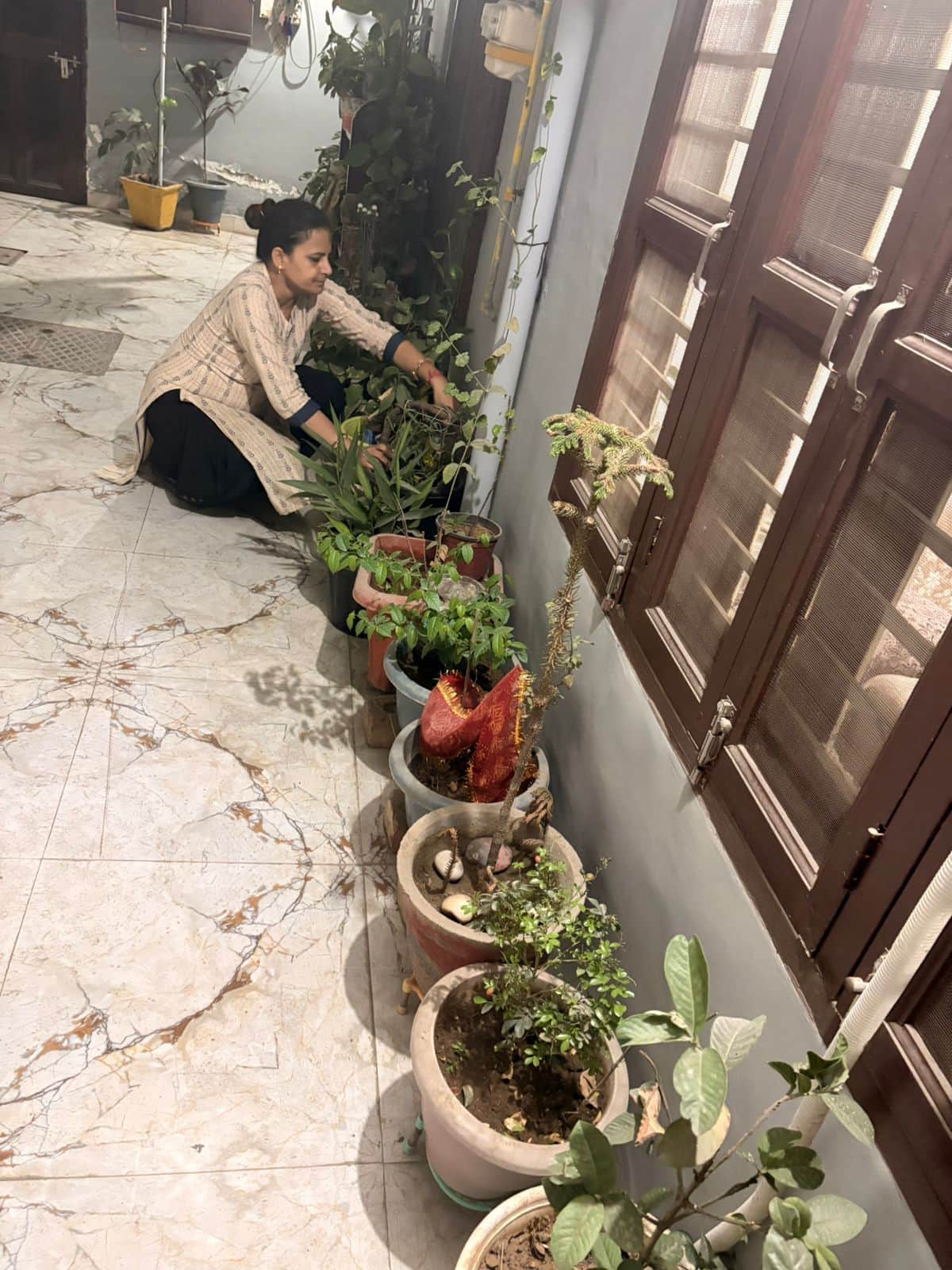 फोटो संख्या:75- कनीना में पौधो की देखभाल करती एकता कौशिक--संवाद