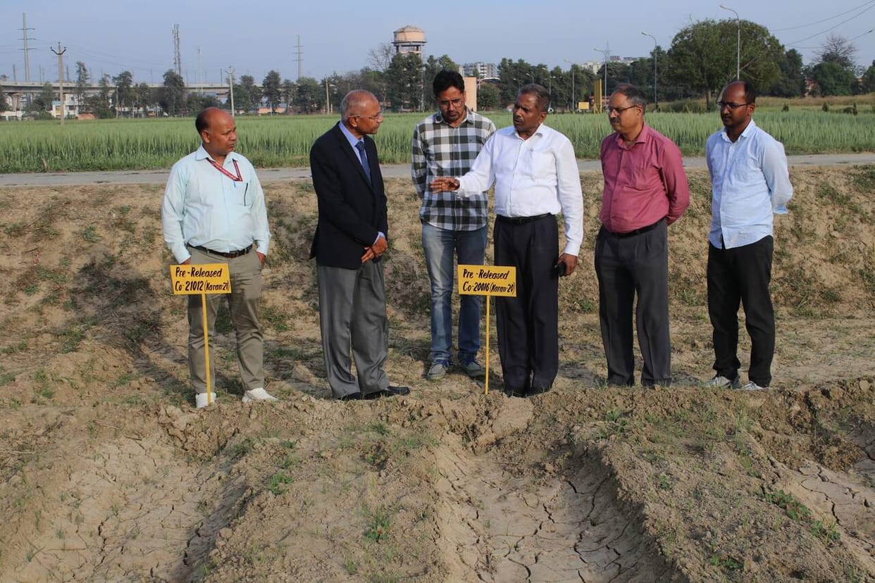 Discussion on cultivation of peanuts and other crops along with sugarcane