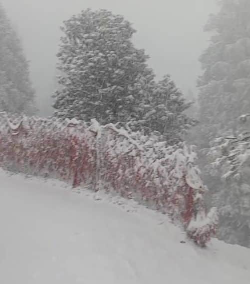 रामपुर के श्राईकोटी माता मंदिर में रविवार दोपहर बाद हुई बर्फबारी। स्रोत : जागरूक पाठक