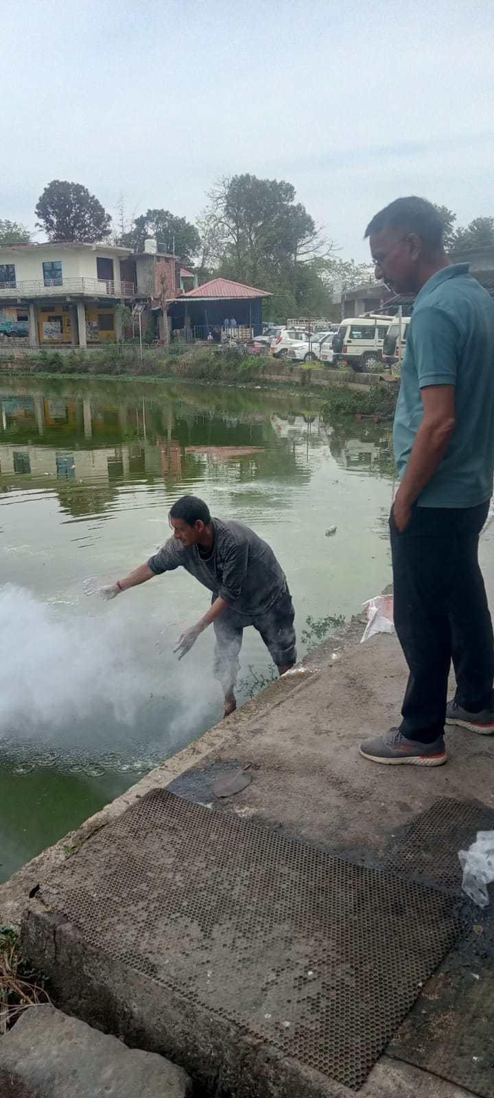 A quarter of a quintal of fish died due to lack of oxygen in the pond.