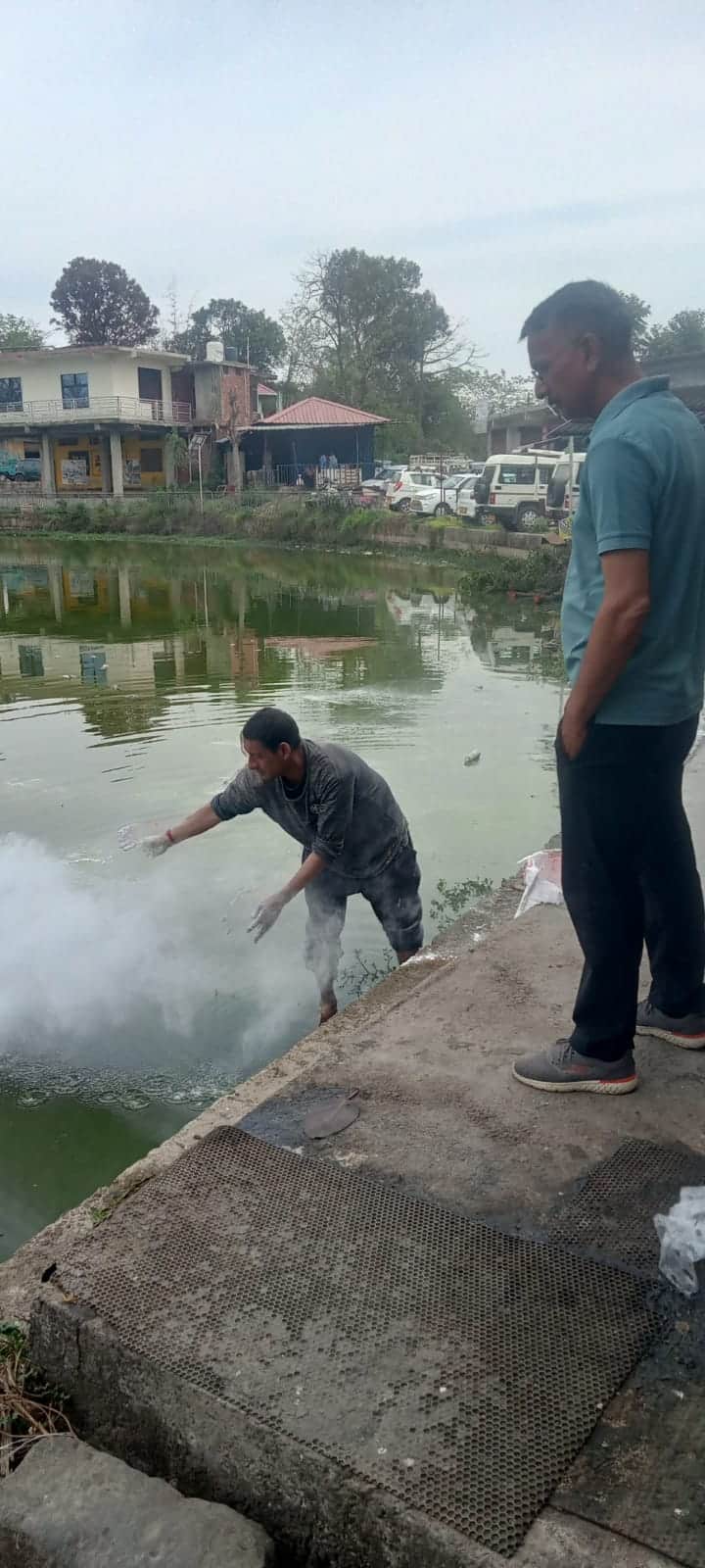 ताल के तालाब में चूना डालने के साथ साफ-सफाई कार्य कर जारी। स्रोत : विभाग