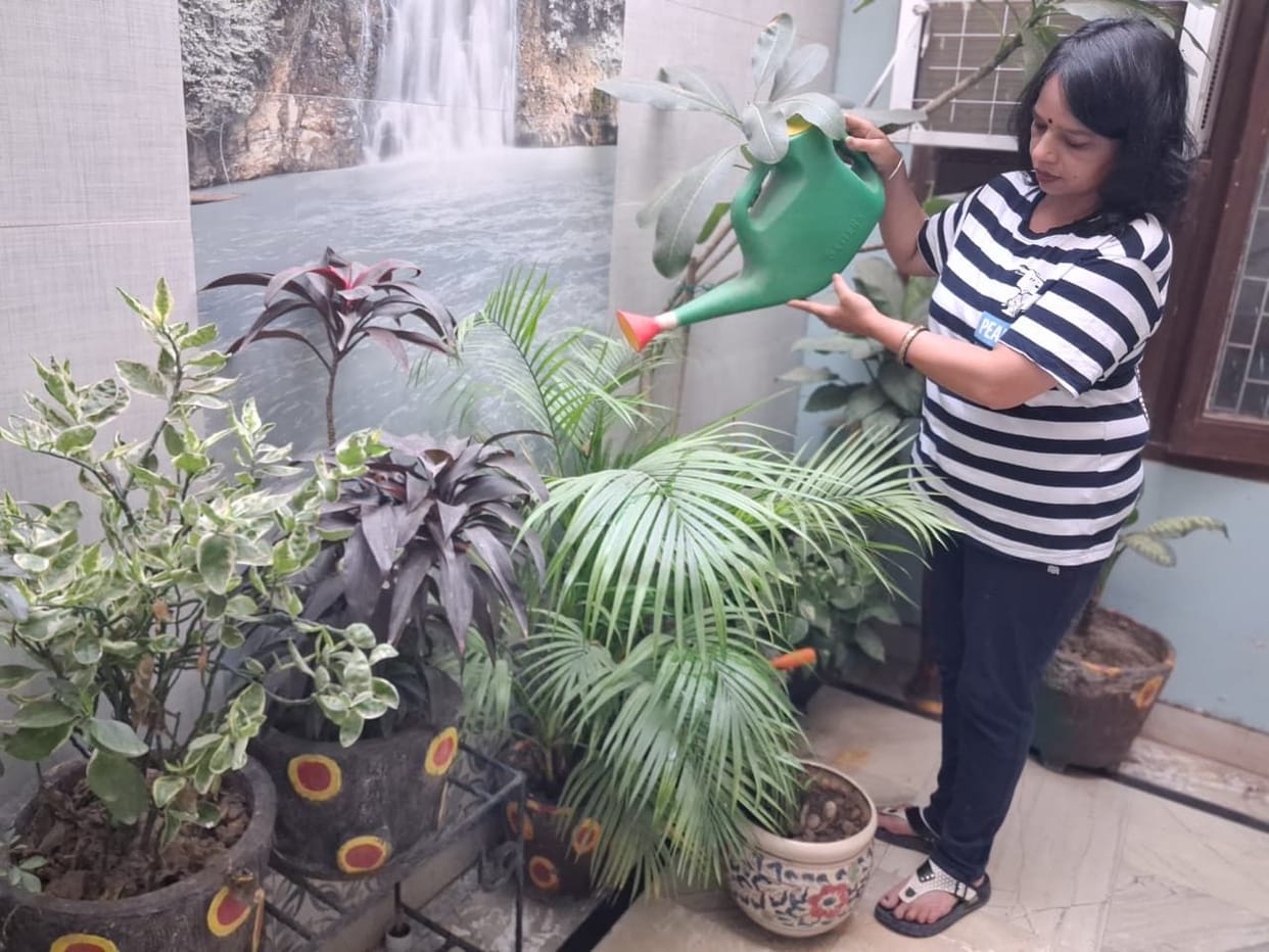Teacher Pooja Mudgil decorated the garden with 120 flowering plants.