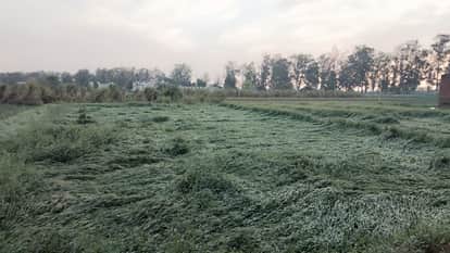 West UP Weather: Storm and rain wreak havoc in Saharanpur, two killed after tin shed collapse