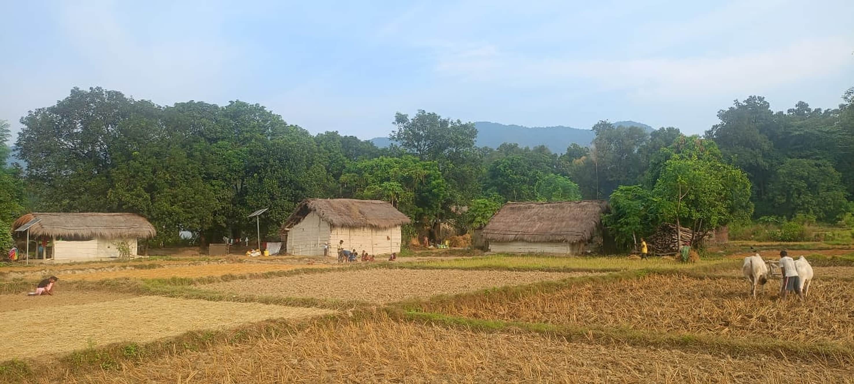 बलरामपुर के सीमावर्ती क्षेत्र में बसा गांव इमिलिया कोडर ।-संवाद