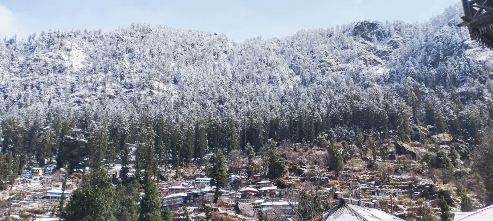 रामपुर के सरपारा में हुई ताजा बर्फबारी का एक नजारा। संवाद