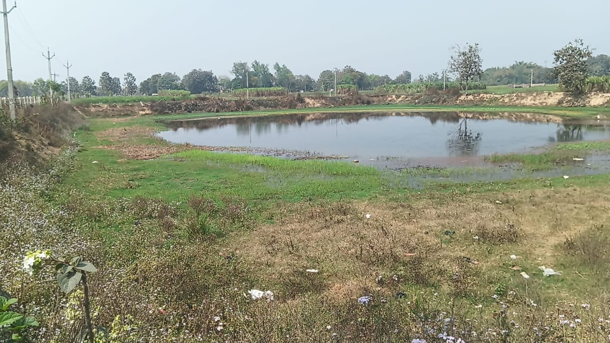 Hundred ponds will be plastic free, block wise nodal officers deployed