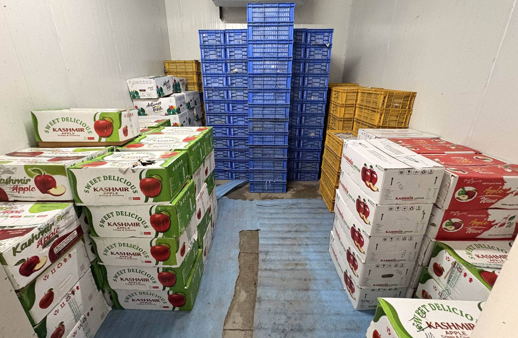 शहर के नवीन मंडी में रखा हुआ फल। संवाद