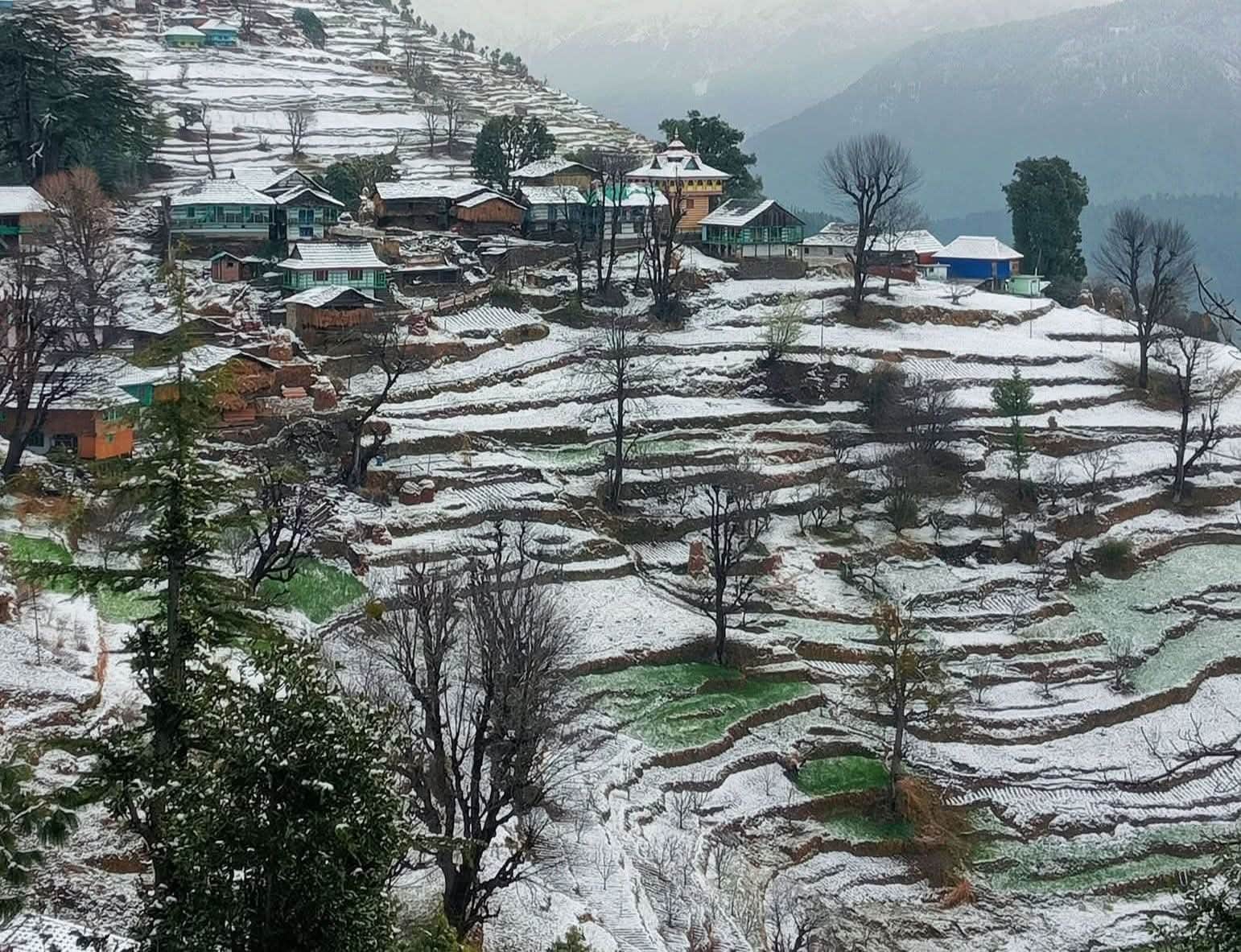 ताजा बर्फबारी के बाद सराज घाटी का बूंग गांव का नजारा।