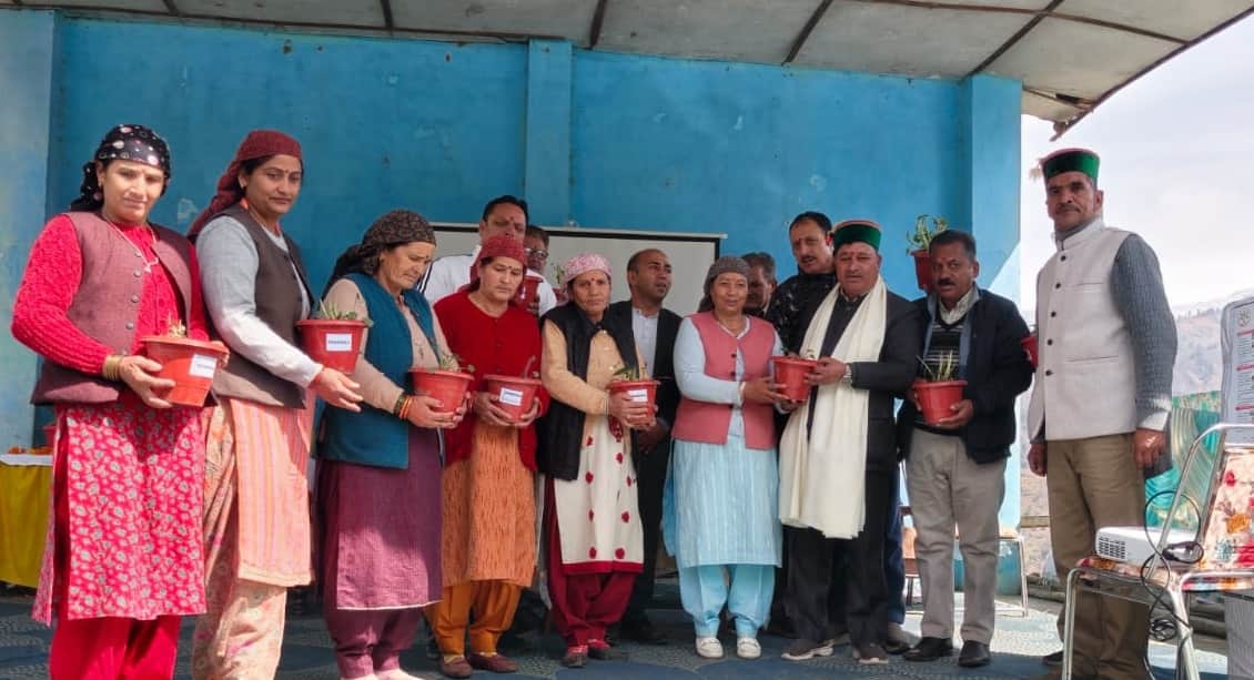 आयुष मेले के दौरान छपोटी गांव में महिलाओं को औषधीय पौध वितरण करते विधायक मोहन लाल ब्राक्टा। सं