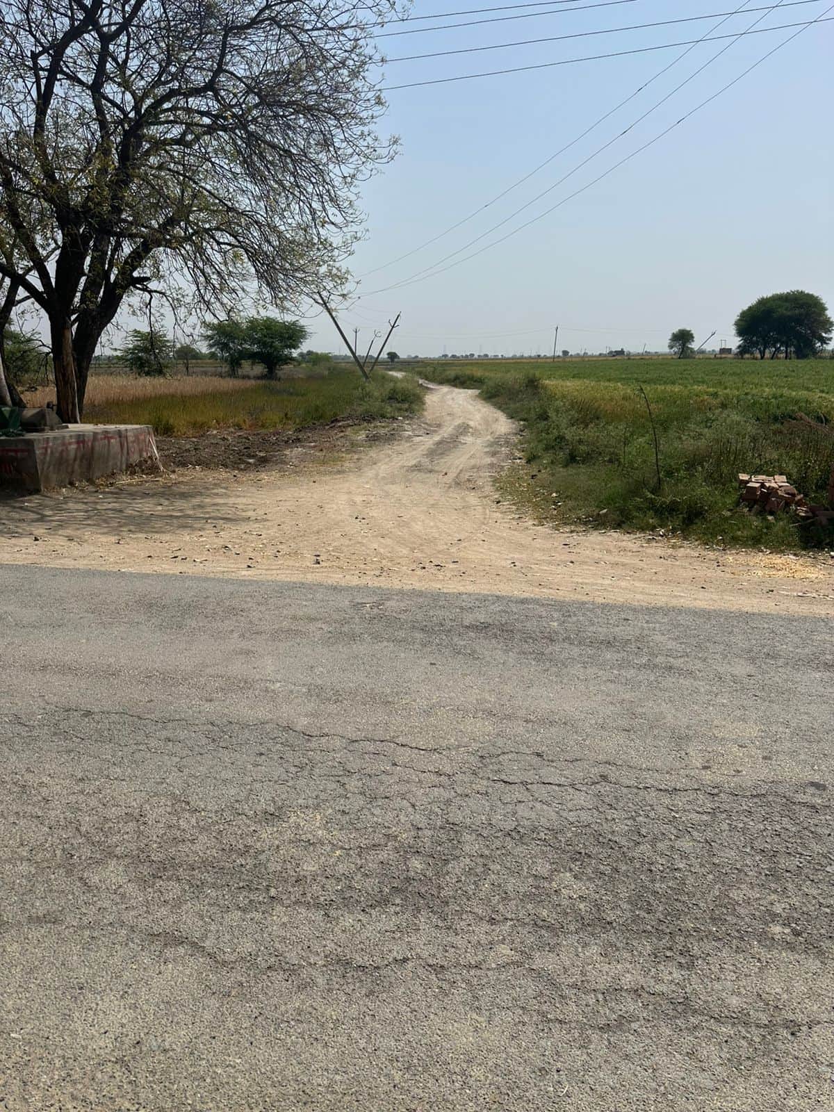 फोटो-08: खकसीस से दमा जाने वाली कच्ची सड़क।