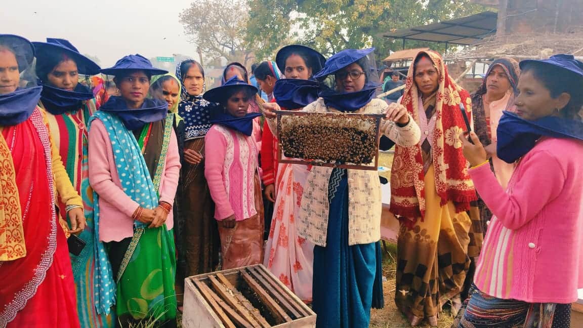 फोटो - 08 शहद उत्पादन का प्रशिक्षण लेतीं महिलाएं। संवाद