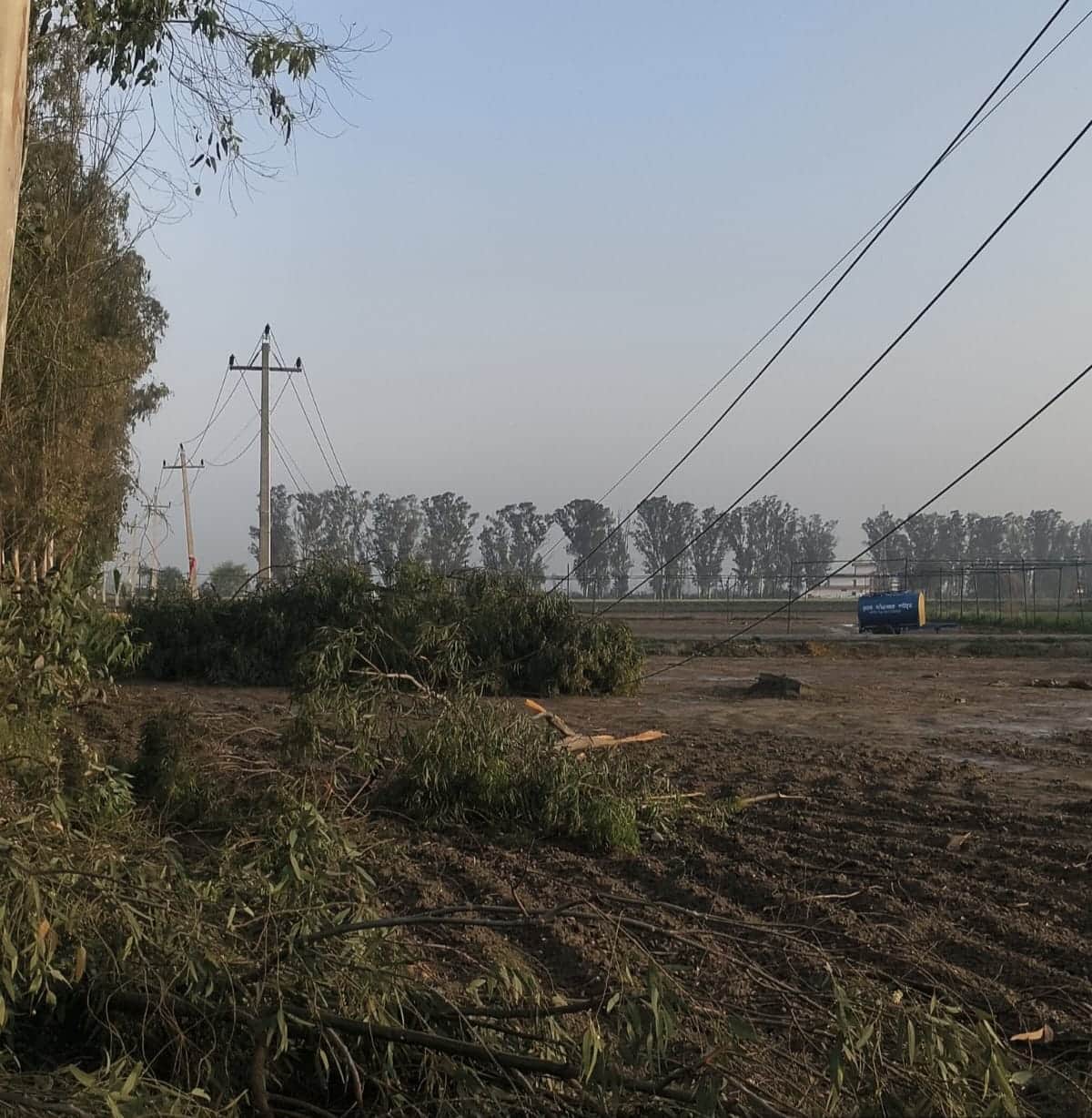  निसिंग से गोंदर रोड पर बिजली के टूटे पोल व  गिरे पेड़। अमर उजाला