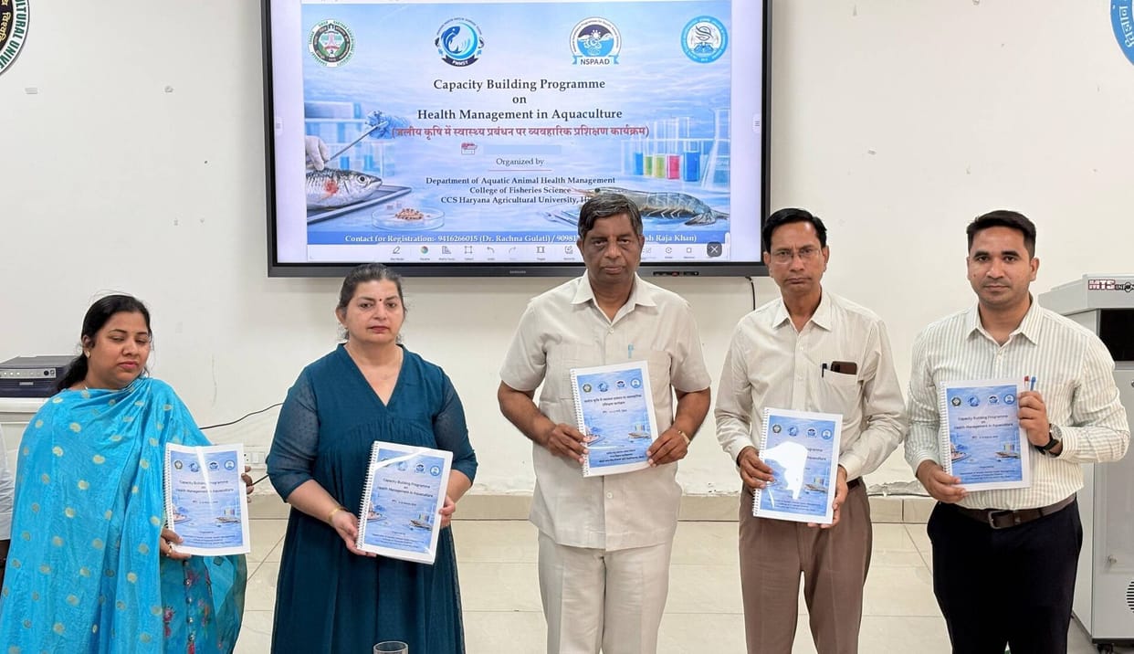 Emphasis on strengthening knowledge and technical skills