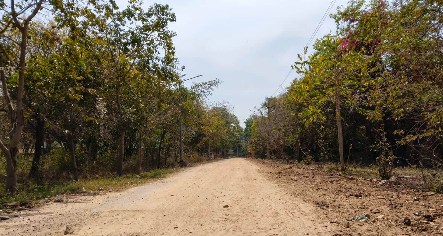 17जेएनडी27-डीसी कॉलोनी में बदहाल पड़ी सड़क। संवाद