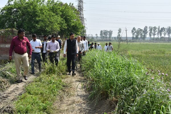 आसन कलां में खेतों में पैदल जाते उपायुक्त डॉ. वीरेंद्र कुमार दहिया। स्रोत : सूचना विभाग