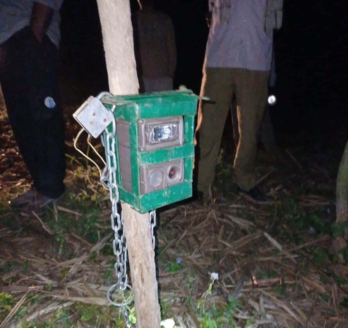 बाघ की लोकेशन ट्रेस करने को लगाया गया कैमरा। स्रोत: वन विभाग