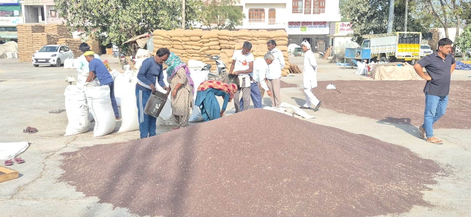 भिवानी मंडी में किसानों की फसल की सफाई करते मजदूर। 