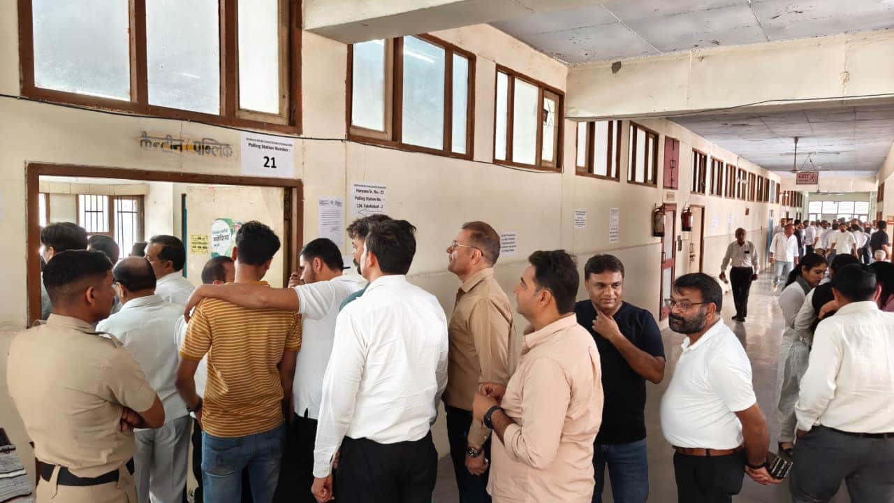 फतेहाबाद में बार चुनावों को लेकर लाइन में खड़े मतदाता। संवाद