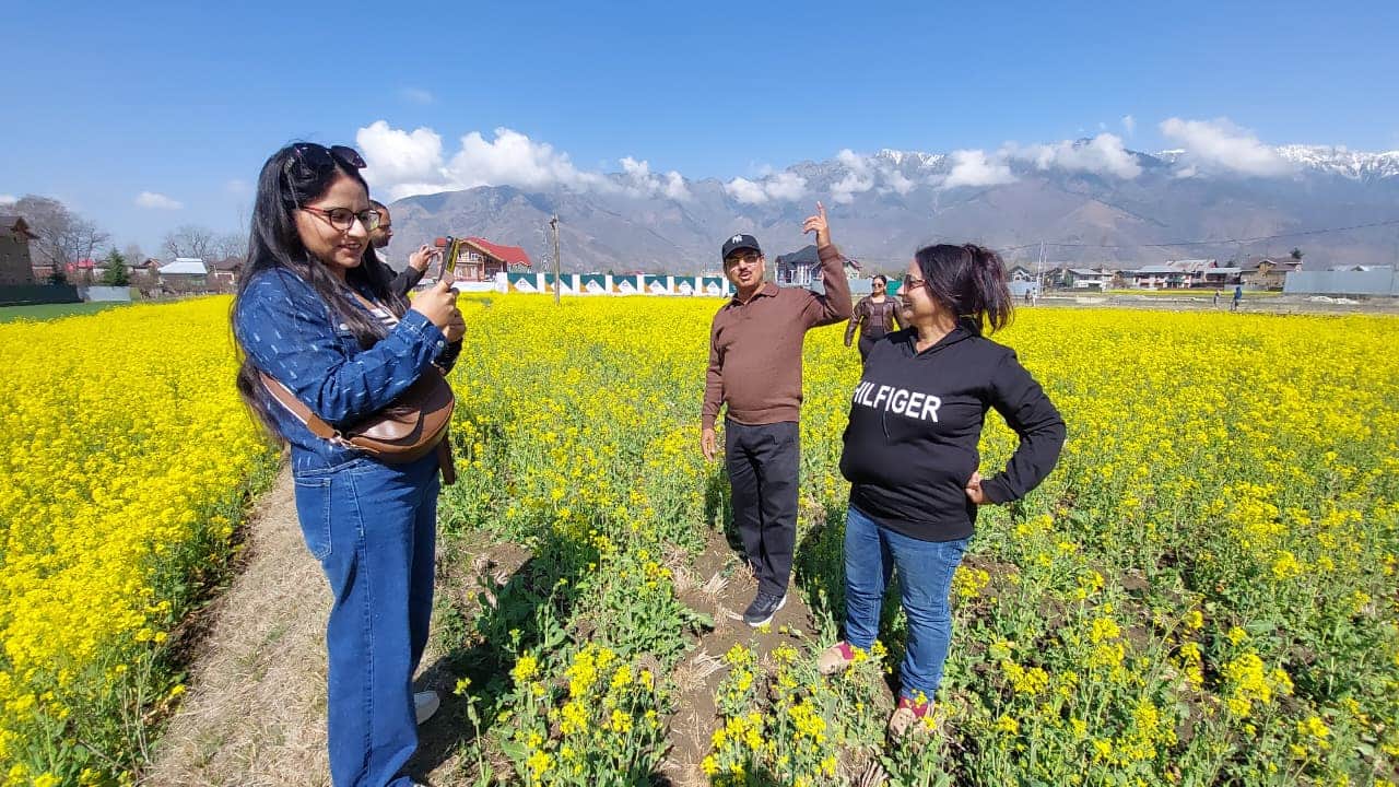 गांदरबल में सरसों के खेत में पर्यटक। संवाद