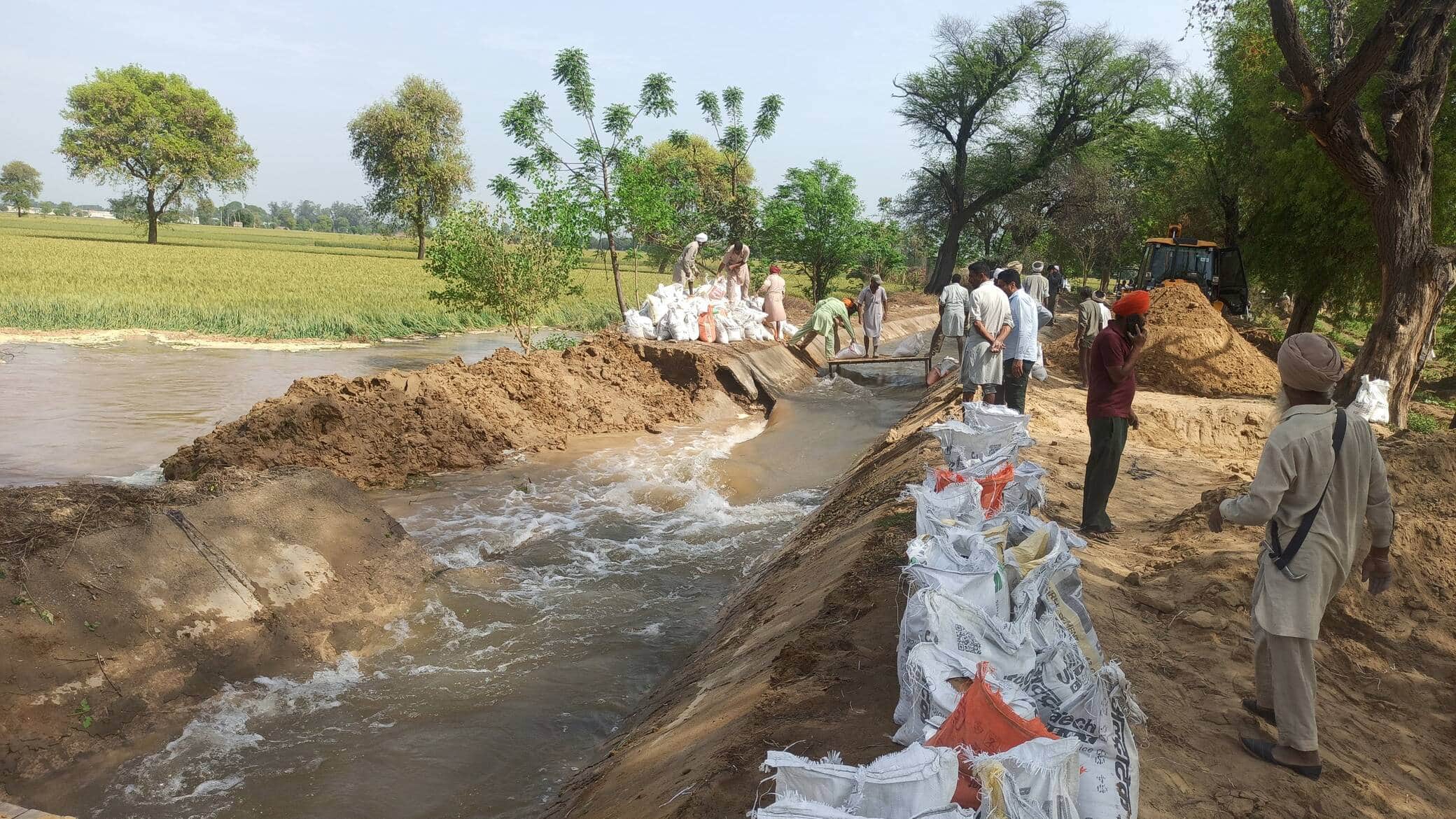 गांव देसूजोधा से गोबिंदगढ़ जाने वाली डबवाली डिस्ट्रीब्यूटरी के कटाव को भरते हुए ग्रामीण। संवाद