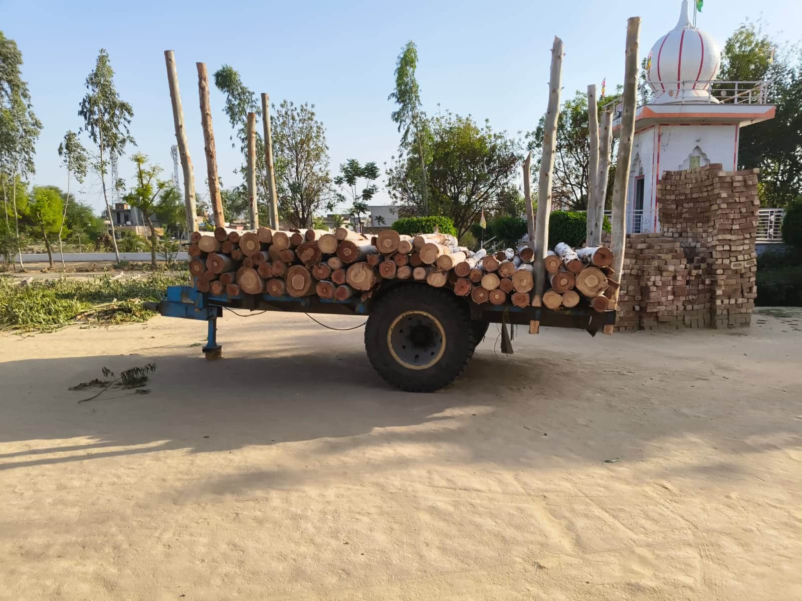 गांव धांगड़ में काटे गए हरे पेड़ों की लकड़ी से भरी ट्रॉली। स्रोत ग्रामीण