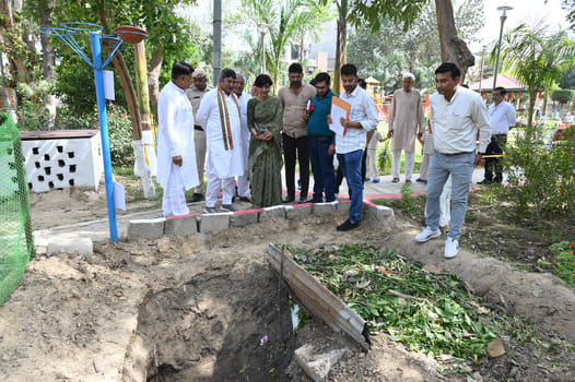 For the 'Decorate the Park' competition, the mayor inspected 19 parks, checking the arrangements of greenery, cleanliness, fountains, swings, and gyms.
