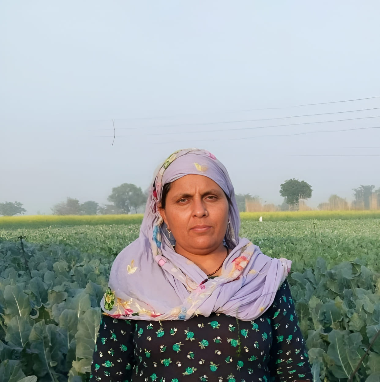 Natural Farming Transforms the Landscape: Nirmala Becomes a Beacon of Progressive Farming