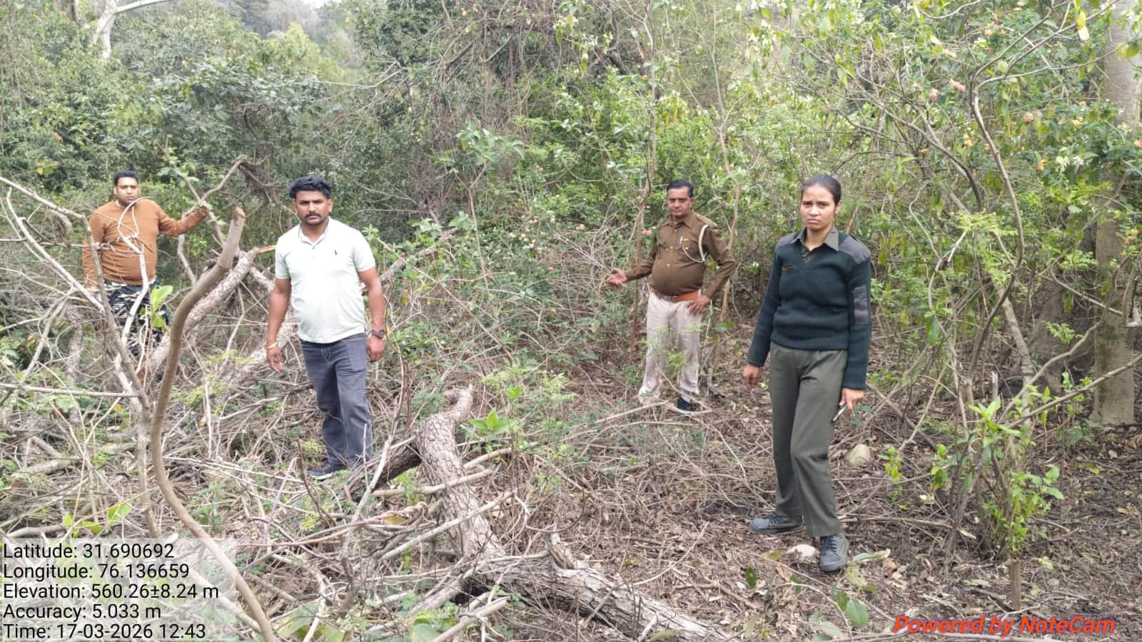 कुठेड़ा खैरला में अवैध रूप से काटे गए खैर के पेड़ों की जांच करते वन विभाग की टीम। स्त्रोत विभाग
