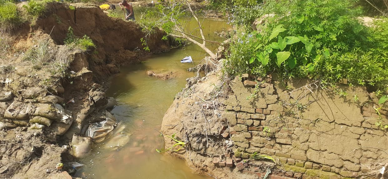 Maize and mung bean crops submerged due to minor cutting