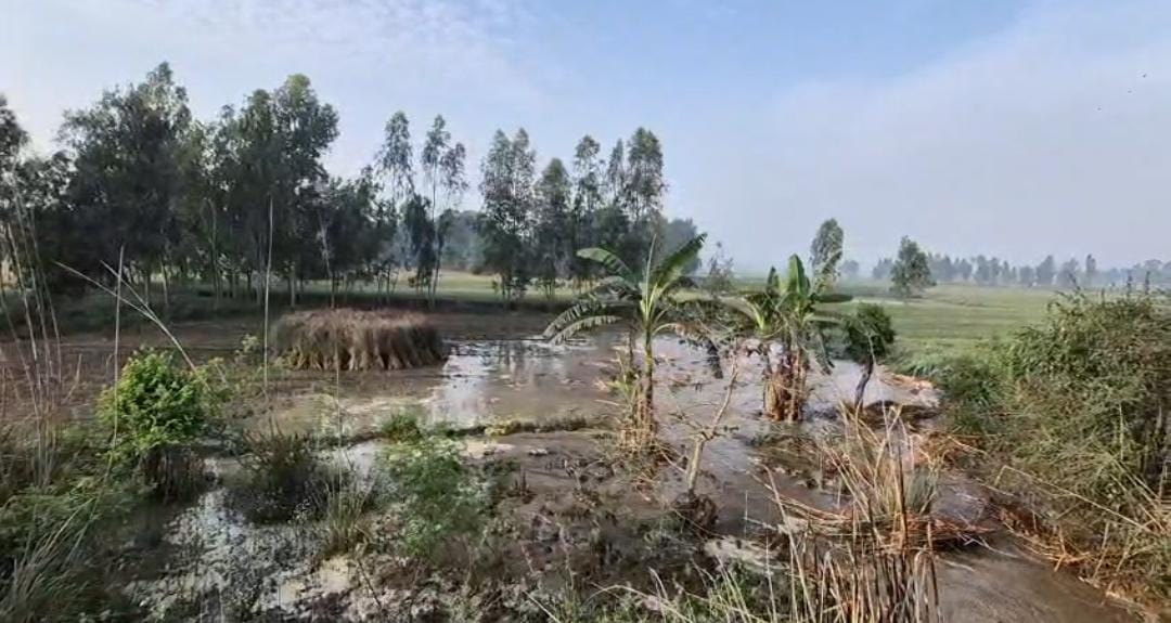 Hundreds of acres of fields were flooded due to canal breaches, causing crop damage.