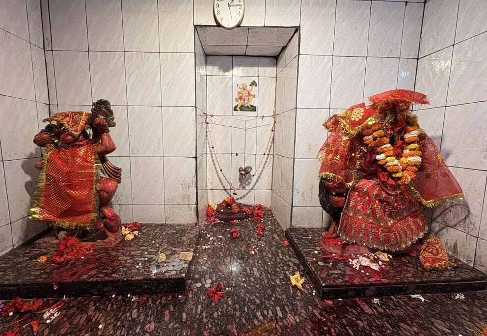 Ancient Shri Singheshwari Temple: Lions used to protect the area, faith unwavering