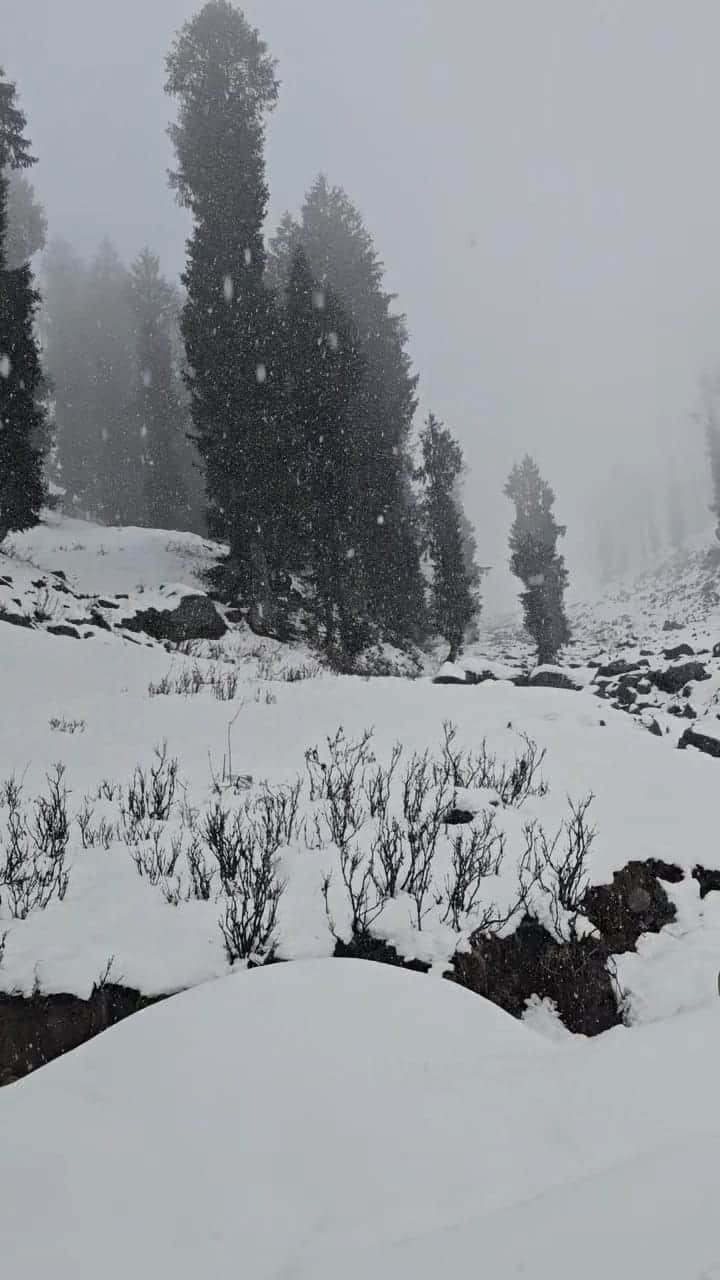 बनी के सरथल इलाके में हुई ताजा बर्फबारी का नजारा। संवाद