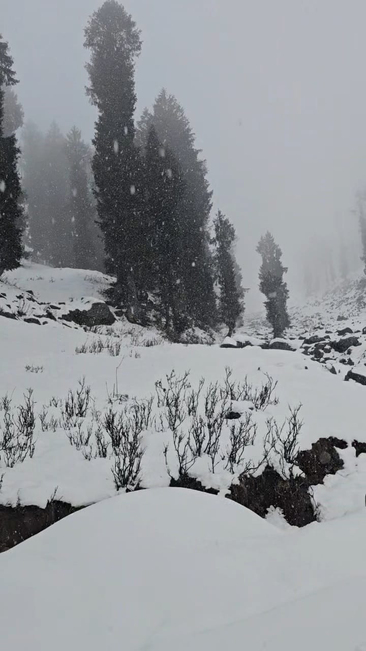 बनी के सरथल इलाके में हुई ताजा बर्फबारी का नजारा। संवाद