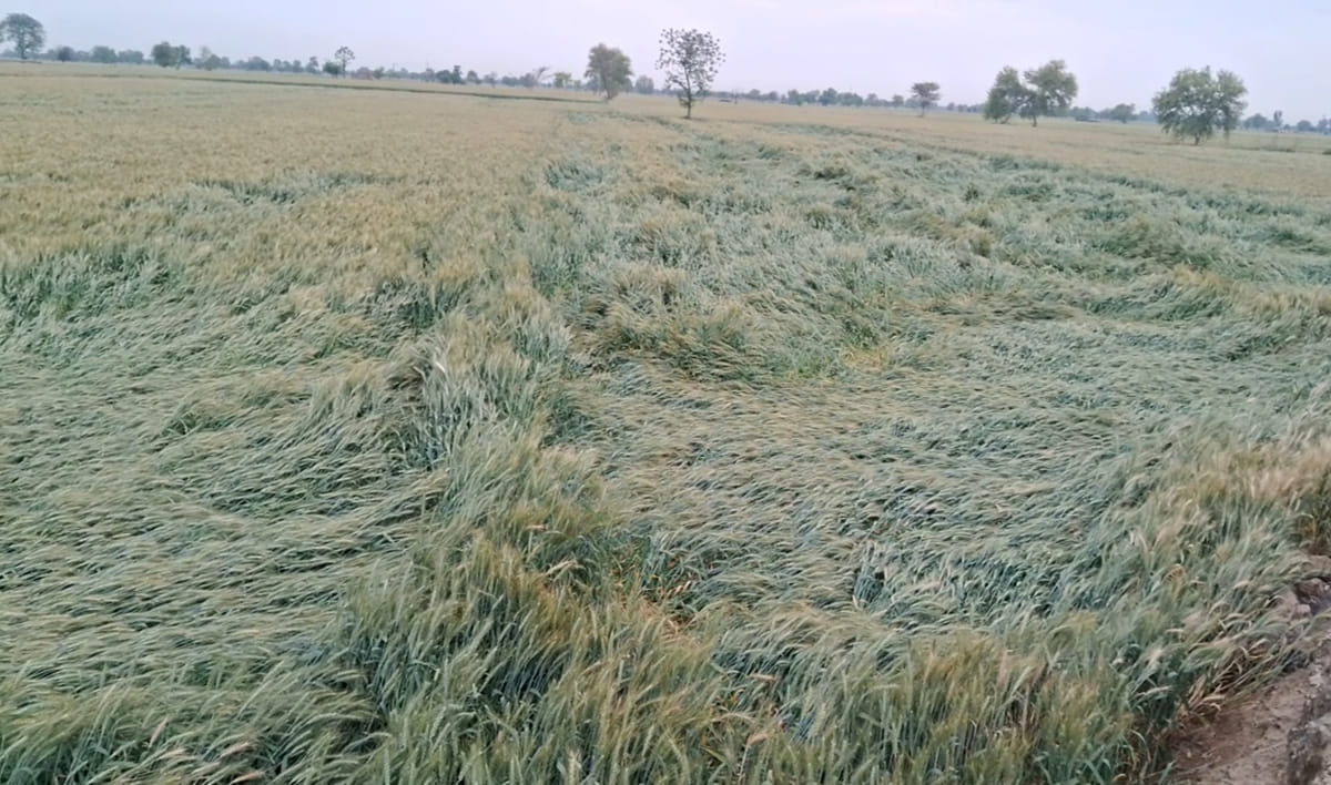 rain in district