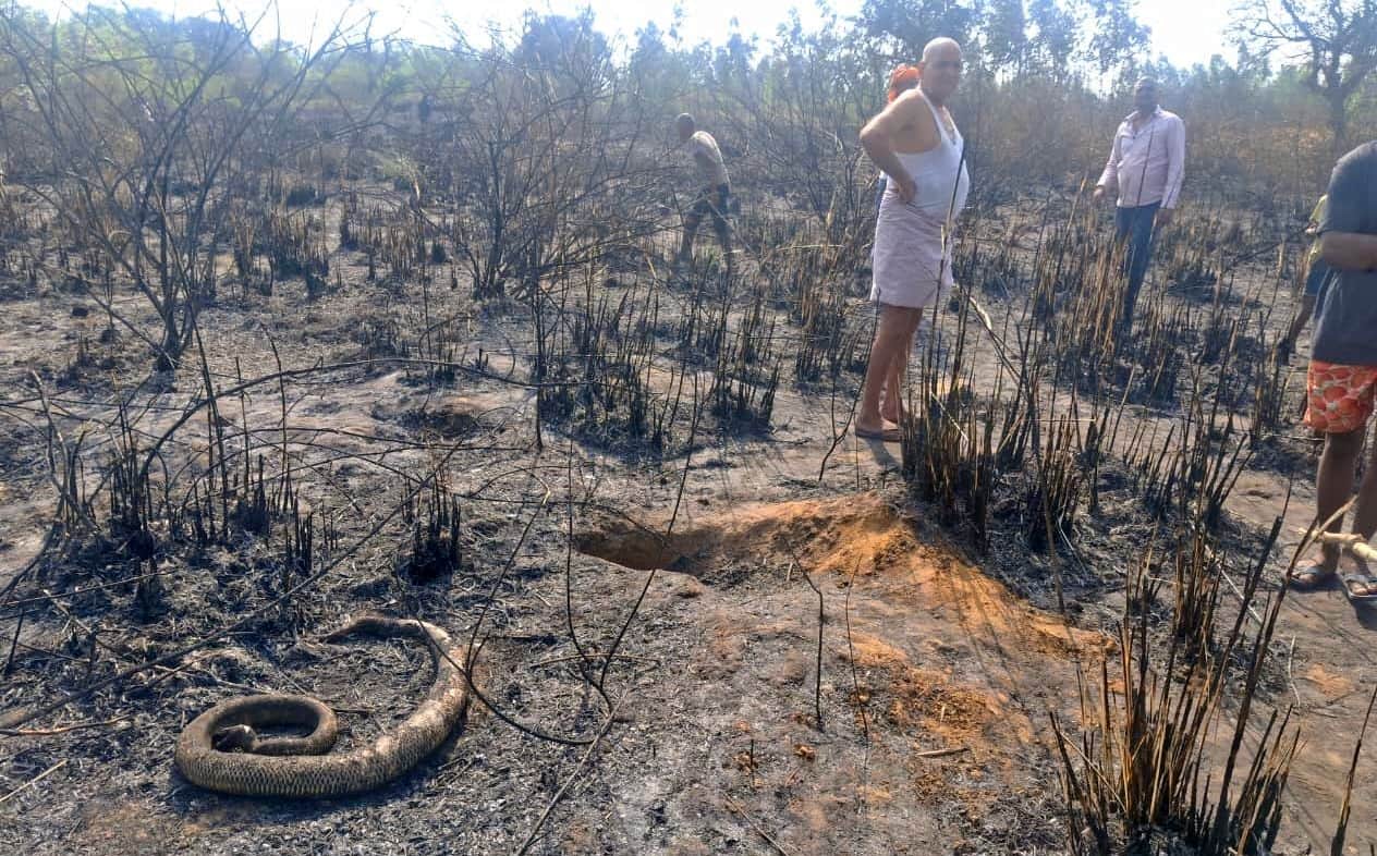 फोटो- 41- जले हुए जंगल को देखते ग्रामीण। संवाद