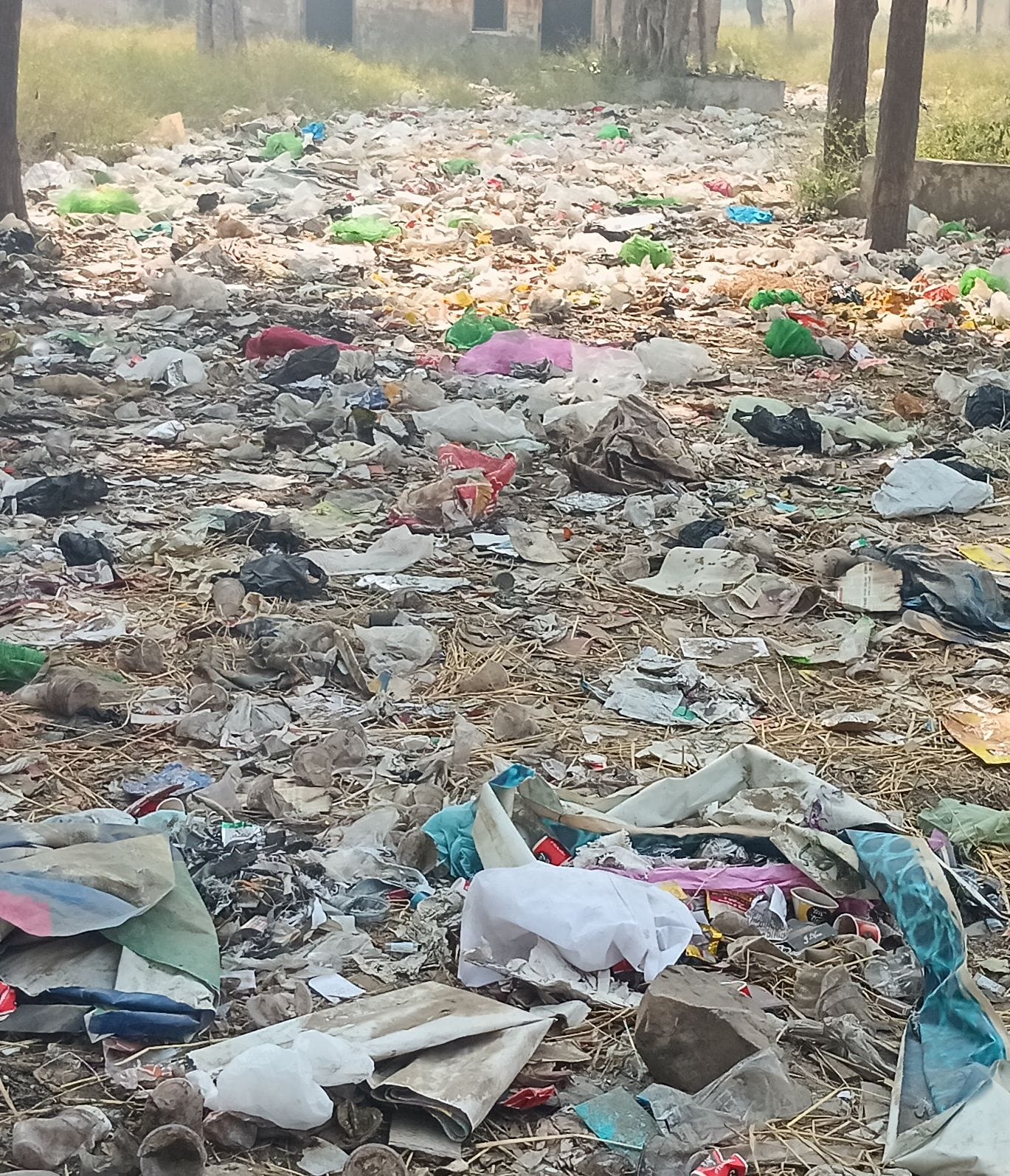 Waste Collection Scheme Stalled; Chairman Issues Notices to Secretary and Contractor
