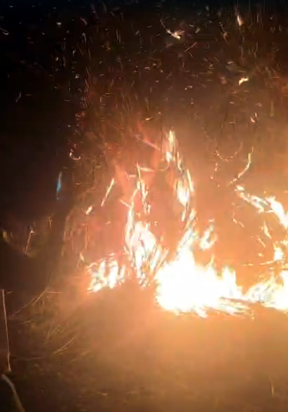 The ravine burned throughout the night, causing a stampede among wild animals.